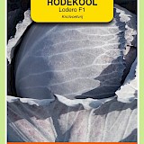 OBZ Rode Kool Zaden Lodero F1, Knolvoetvrij