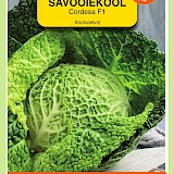 OBZ Savooiekool Zaden Cordesa F1