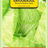 OBZ Savooiekool Zaden Bloemendaalse Gele
