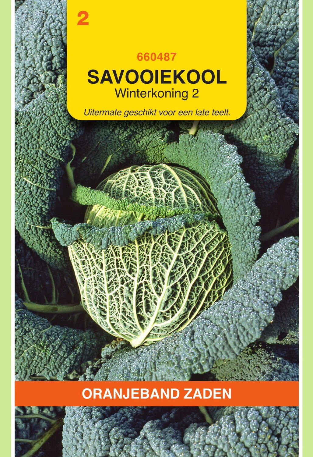 OBZ Savooiekool Zaden Winterkoning 2