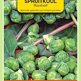 OBZ Spruitkool Zaden Roodnerf
