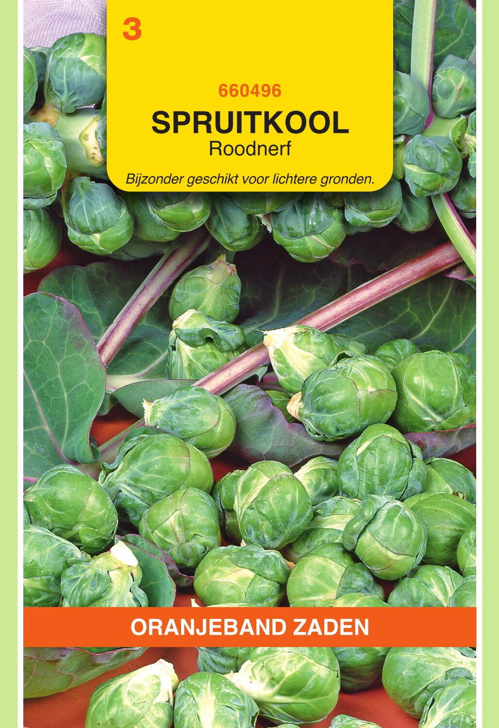 OBZ Spruitkool Zaden Roodnerf