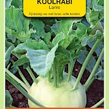 OBZ Koolrabi Zaden Lanro