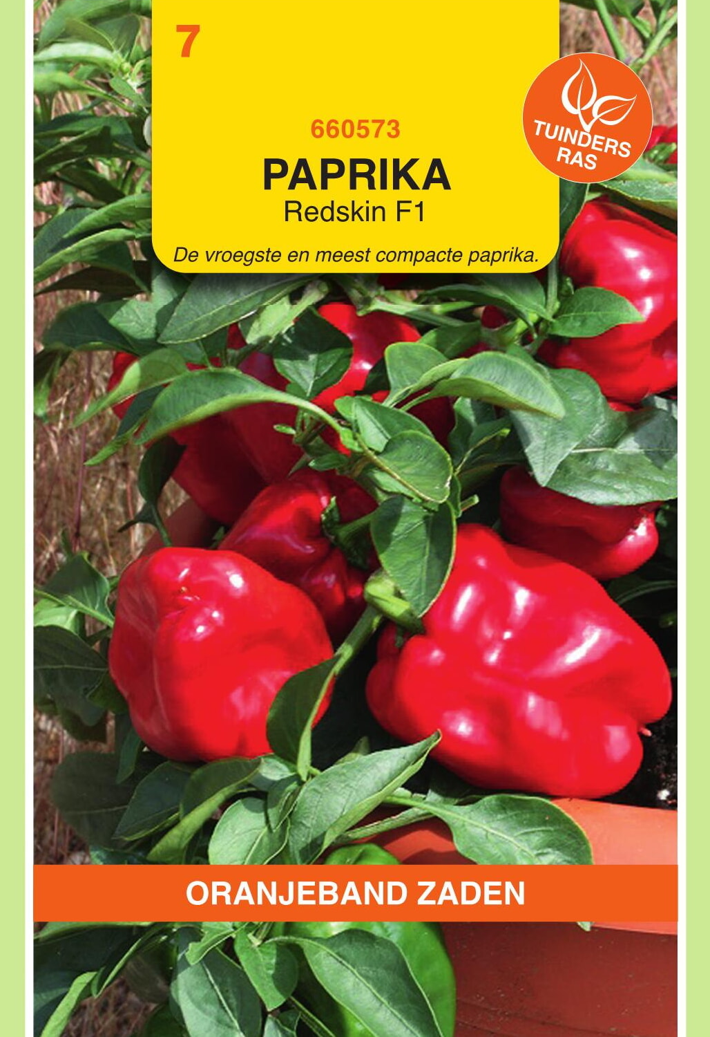 OBZ Paprika Zaden Redskin F1