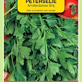 OBZ Peterselie Zaden Amsterdamse Snij