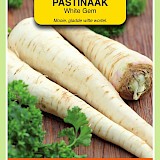 OBZ Pastinaak Zaden White Gem