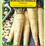OBZ Wortelpeterselie Zaden Halflange
