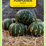 OBZ Pompoenen Zaden Asterix (Panterprint)