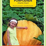 OBZ Pompoenen Zaden Atlantic Giant