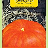 OBZ Pompoenen Zaden Rode Van Etampes