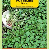 OBZ Postelein Zaden Groene