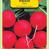 OBZ Radijs Zaden Topsi