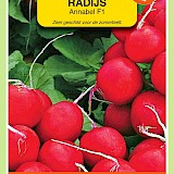 OBZ Radijs Zaden Annabel F1
