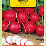 OBZ Radijs Zaden Saxa 2