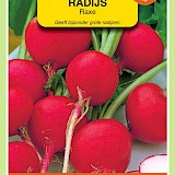 OBZ Radijs Zaden Raxe