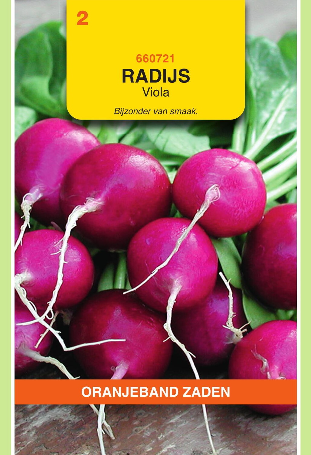 OBZ Radijs Zaden Viola, paars