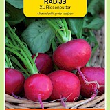 OBZ Radijs Zaden XL Riesenbutter