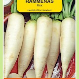 OBZ Rammenas Zaden Rex