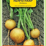OBZ Rapen Zaden Goldana