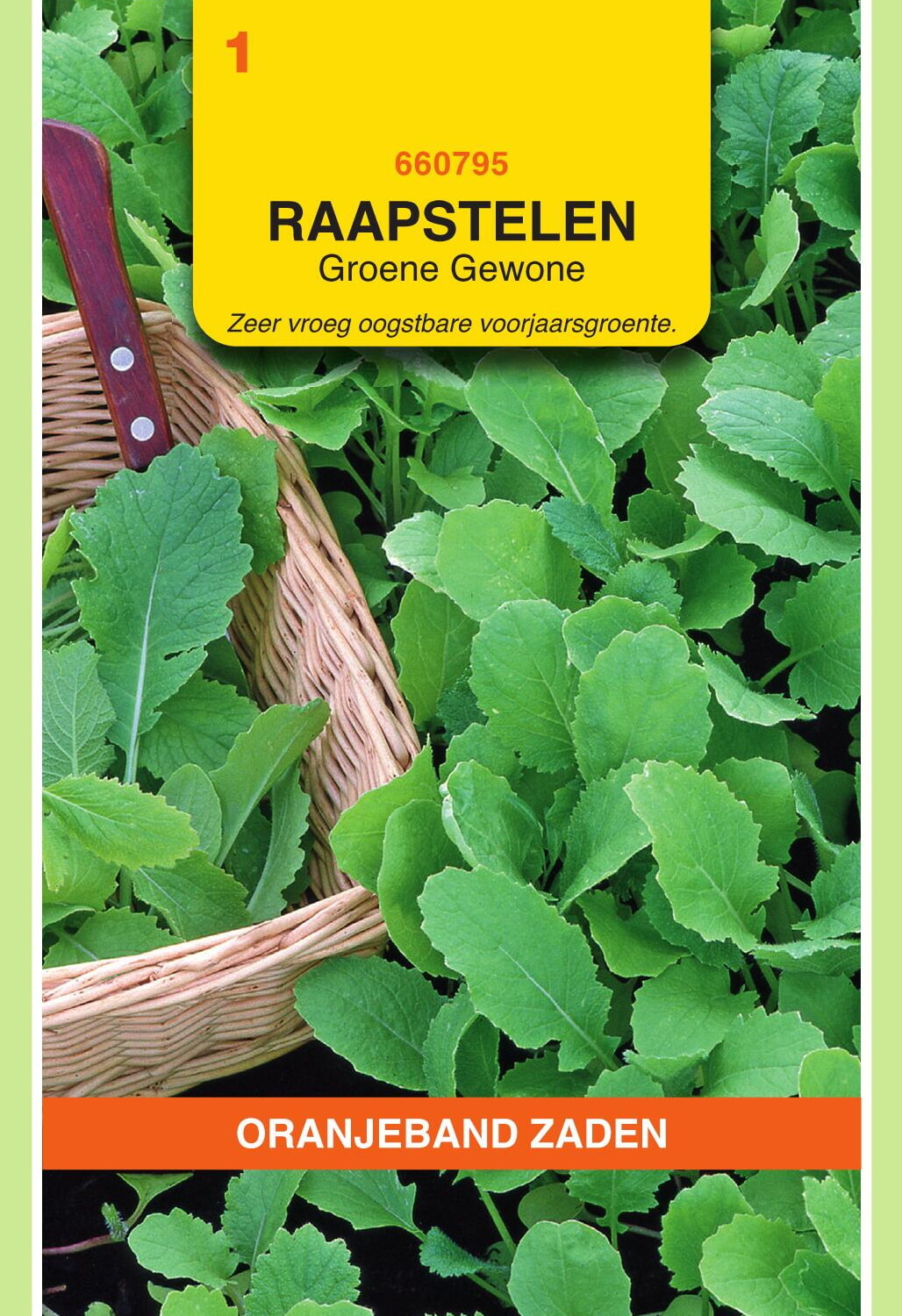 OBZ Raapstelen Zaden Groene Gewone