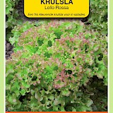 OBZ Krulsla Zaden Lollo Rossa