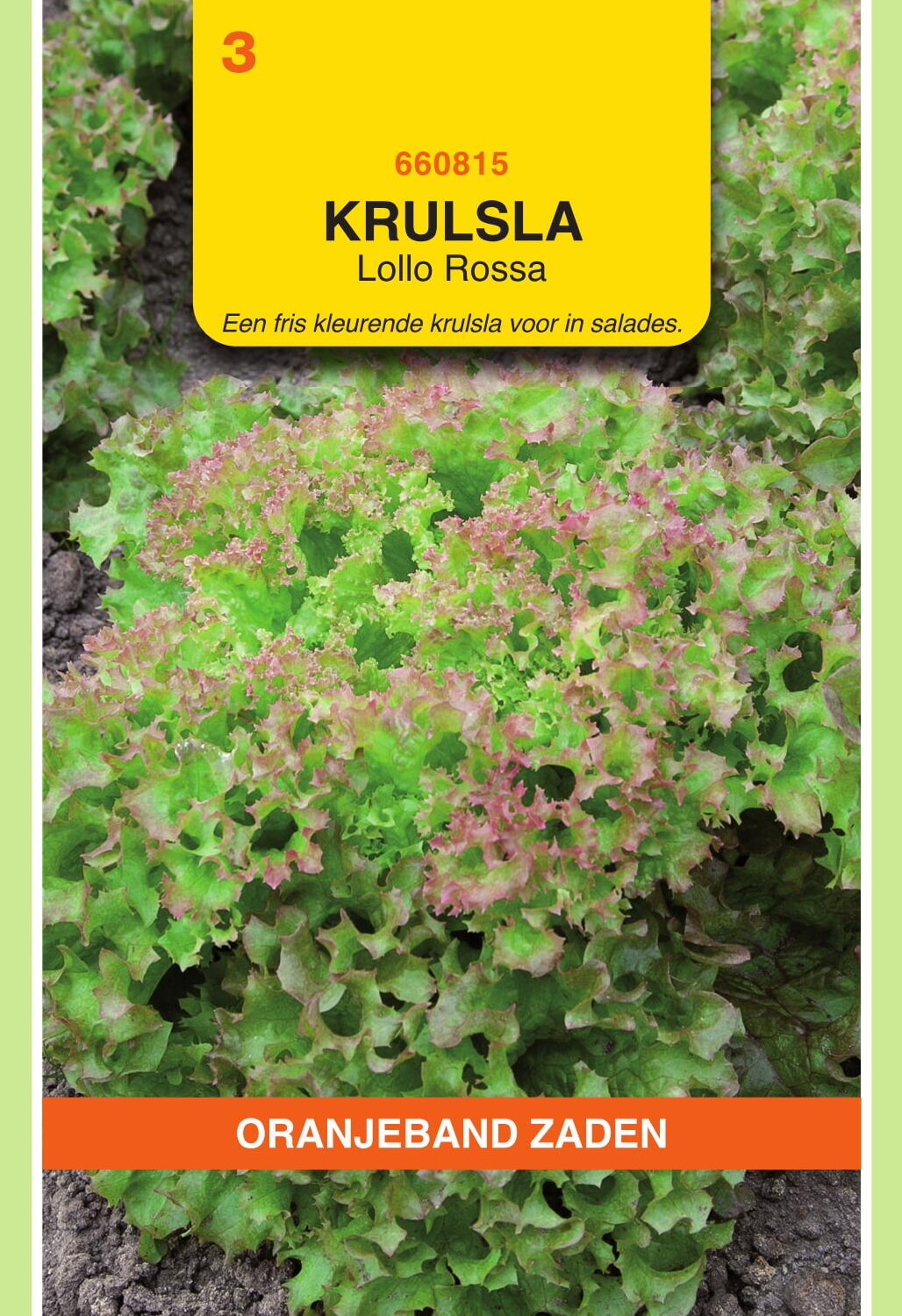 OBZ Krulsla Zaden Lollo Rossa