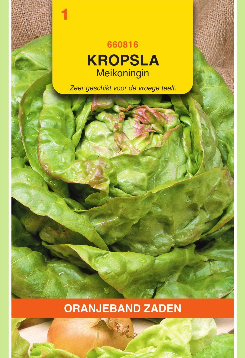 OBZ Kropsla Zaden Meikoningin