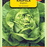 OBZ Kropsla Zaden Brighton - Kassla