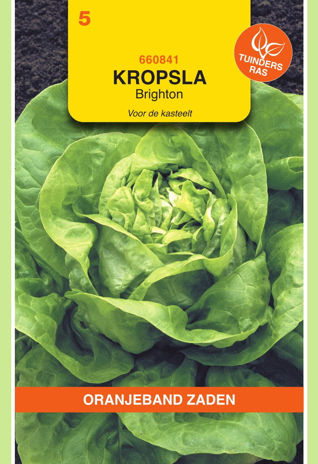 OBZ Kropsla Zaden Brighton - Kassla