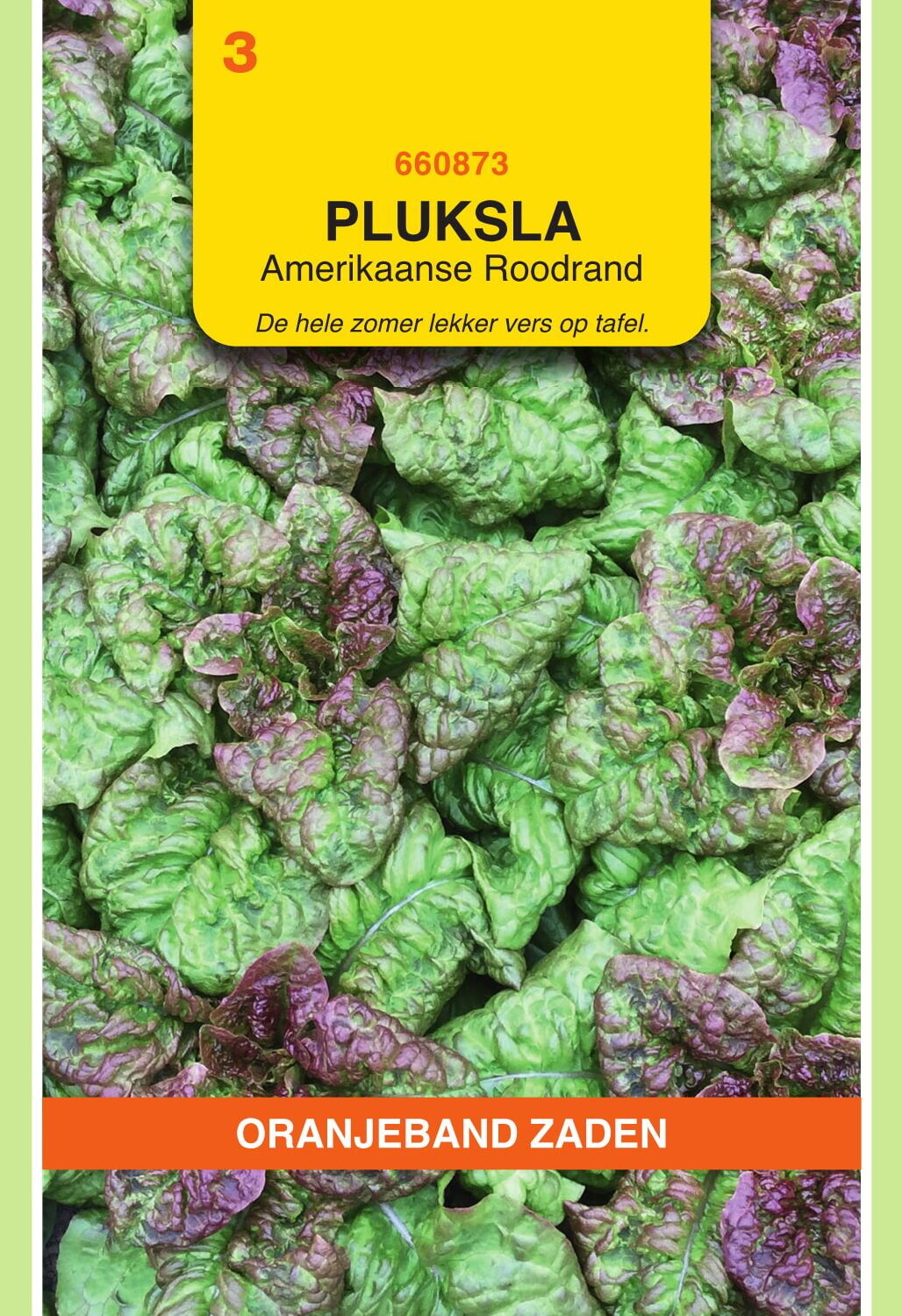 OBZ Pluksla Zaden Amerikaanse Roodrand