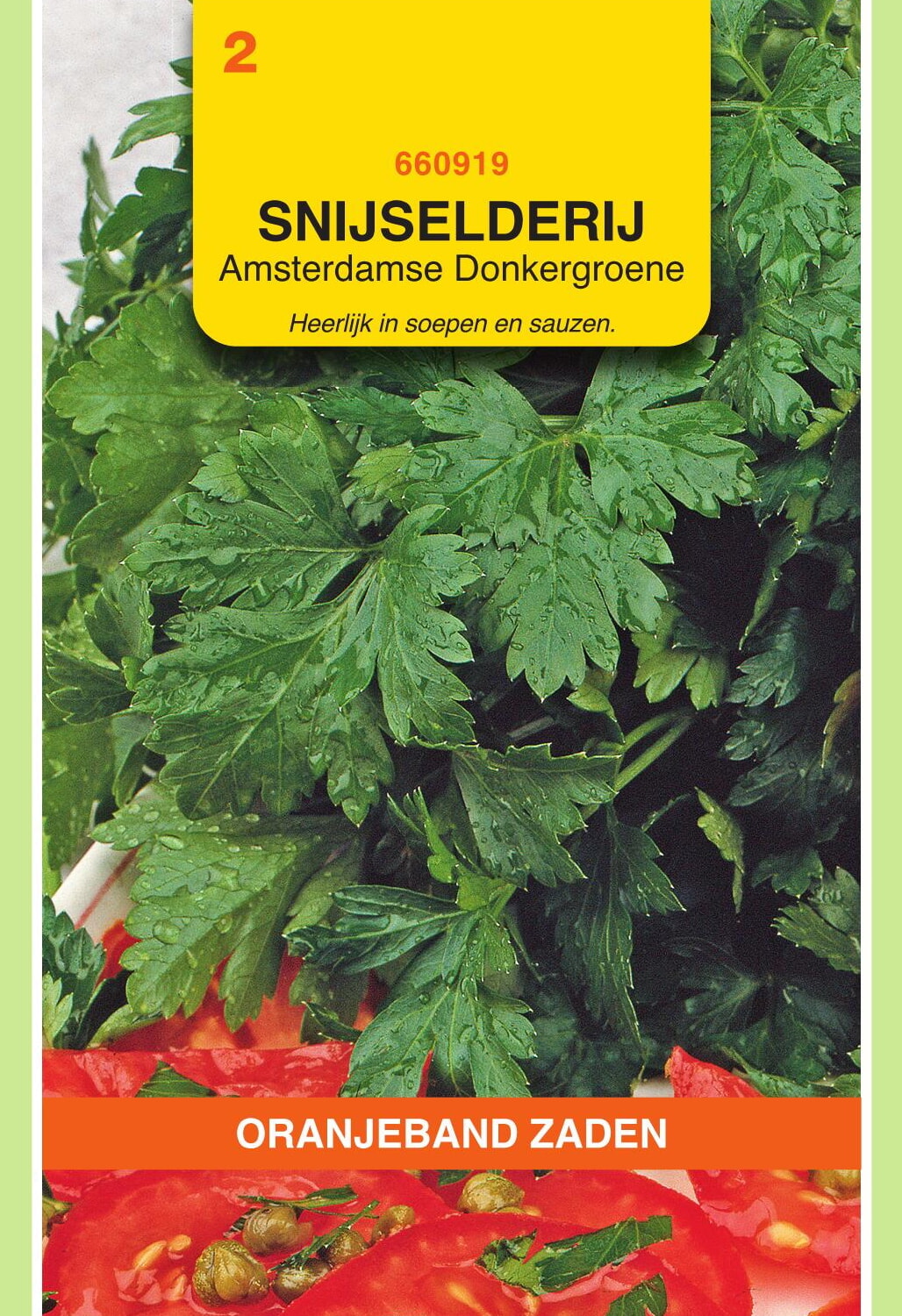 OBZ Snijselderij Zaden Amsterdamse Donkergroene