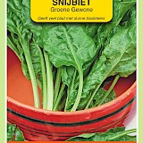 OBZ Snijbiet Zaden Groene Gewone