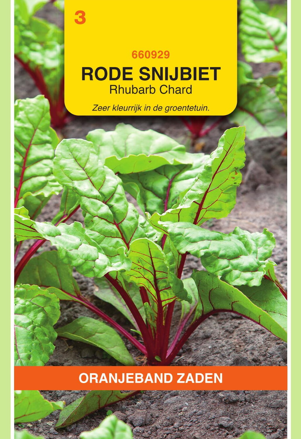 OBZ Snijbiet Zaden Rhubarb Chard