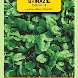 OBZ Spinazie Zaden Colusa F1