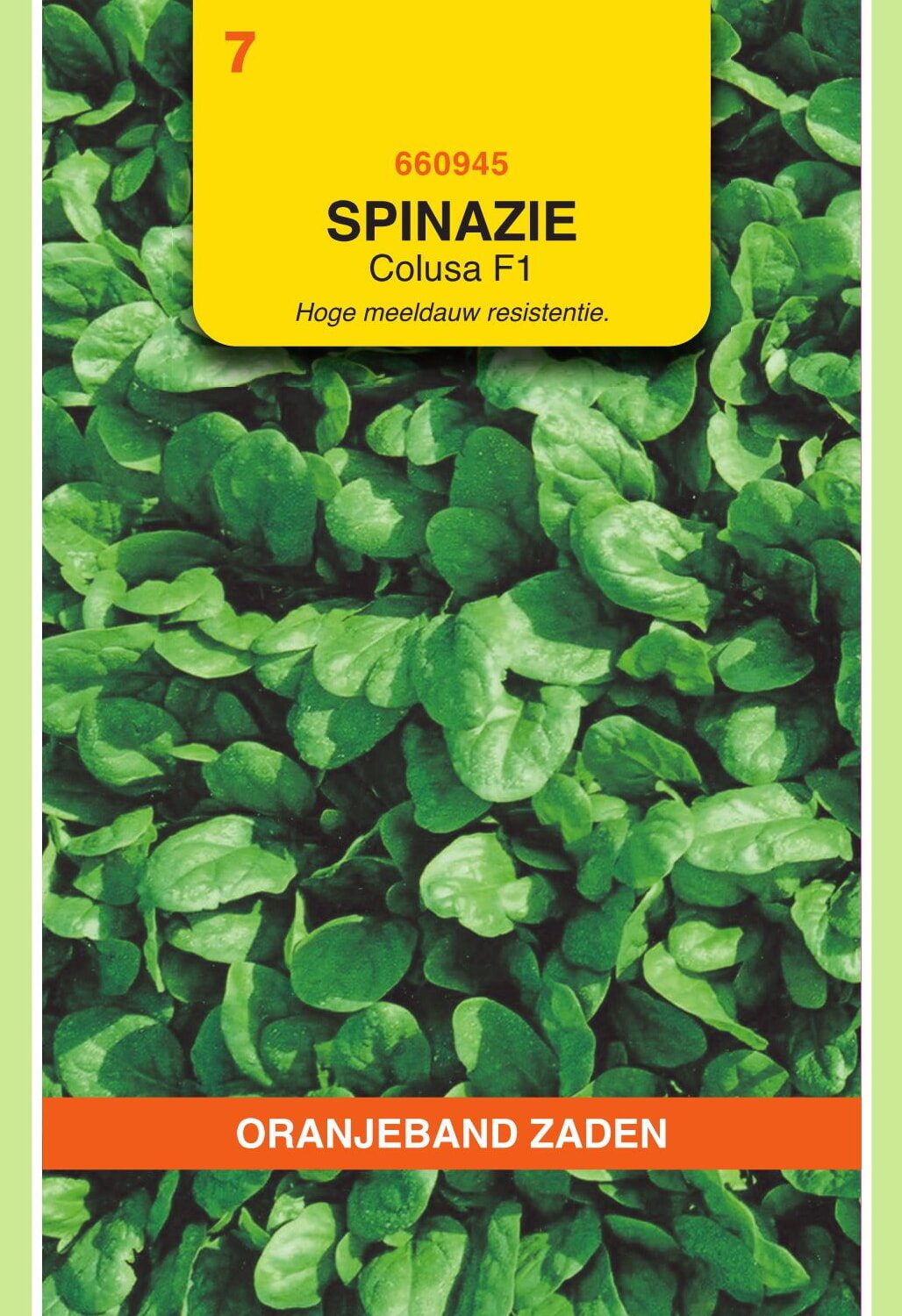 OBZ Spinazie Zaden Colusa F1