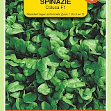 OBZ Spinazie Zaden Colusa F1 15g