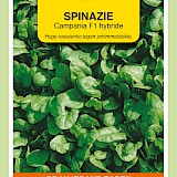 OBZ Spinazie Zaden Campania F1 50g